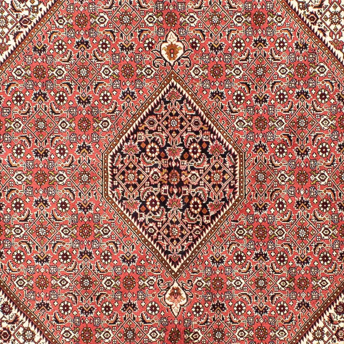 Tappeto Persero - Bidjar - 237 x 176 cm - rosso chiaro