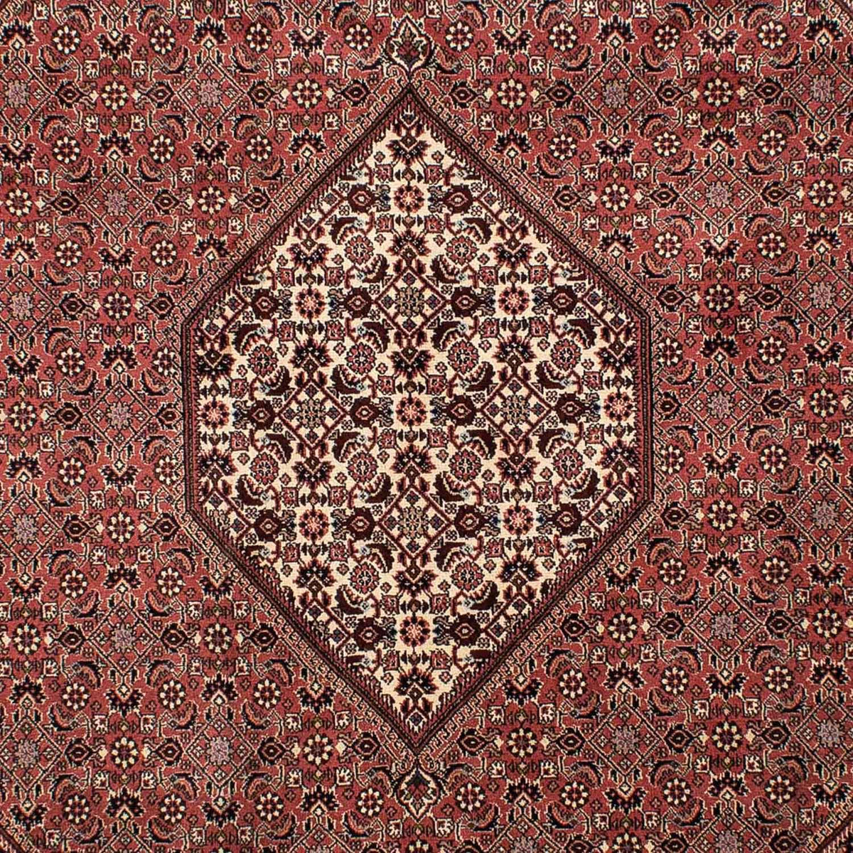 Tappeto Persero - Bidjar - 308 x 204 cm - marrone