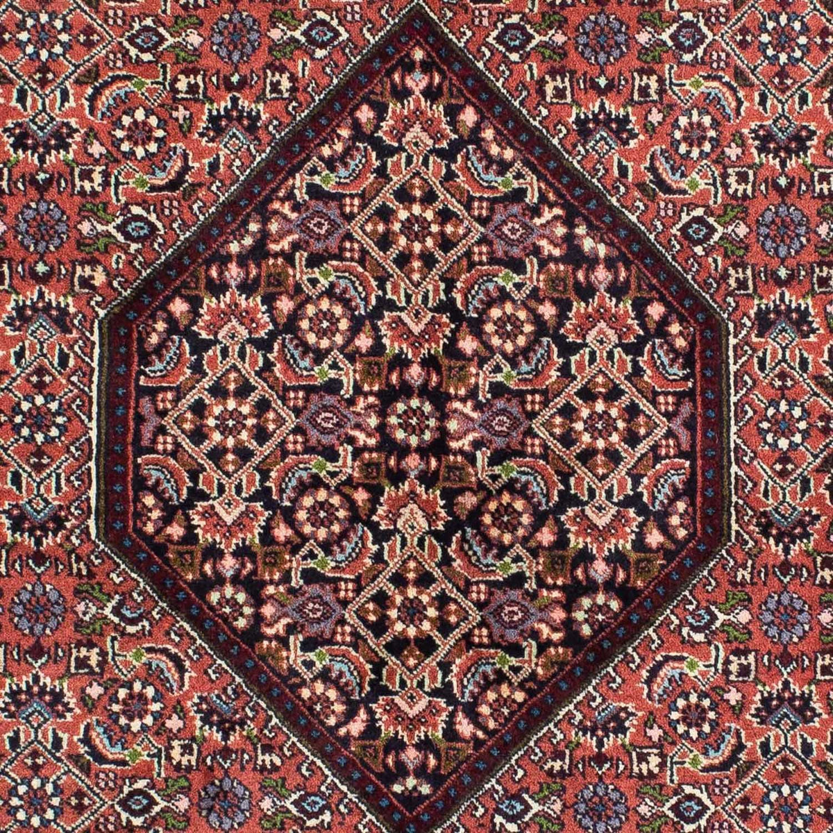 Tappeto Persero - Bidjar - 235 x 140 cm - rosso