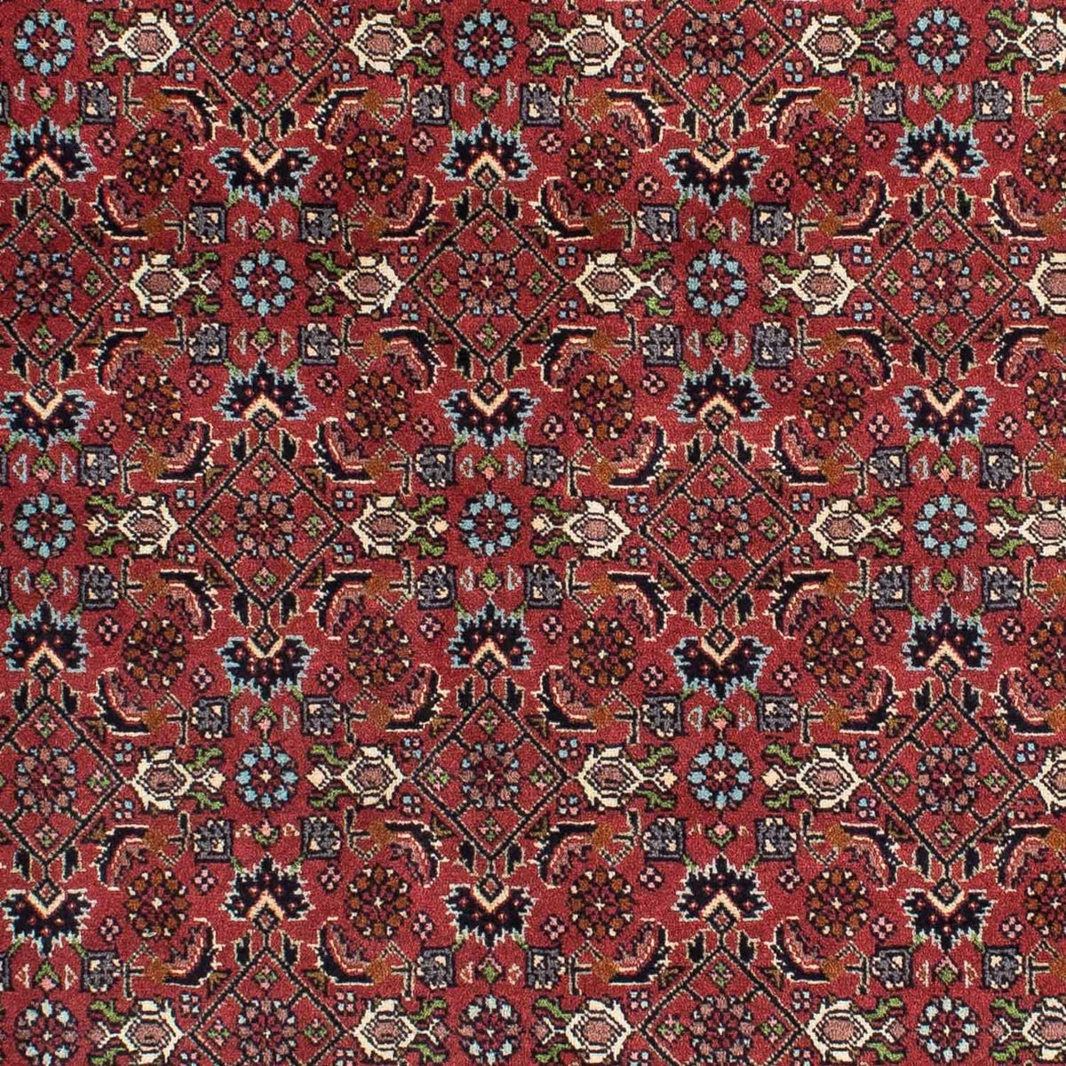 Tappeto Persero - Bidjar - 193 x 137 cm - rosso
