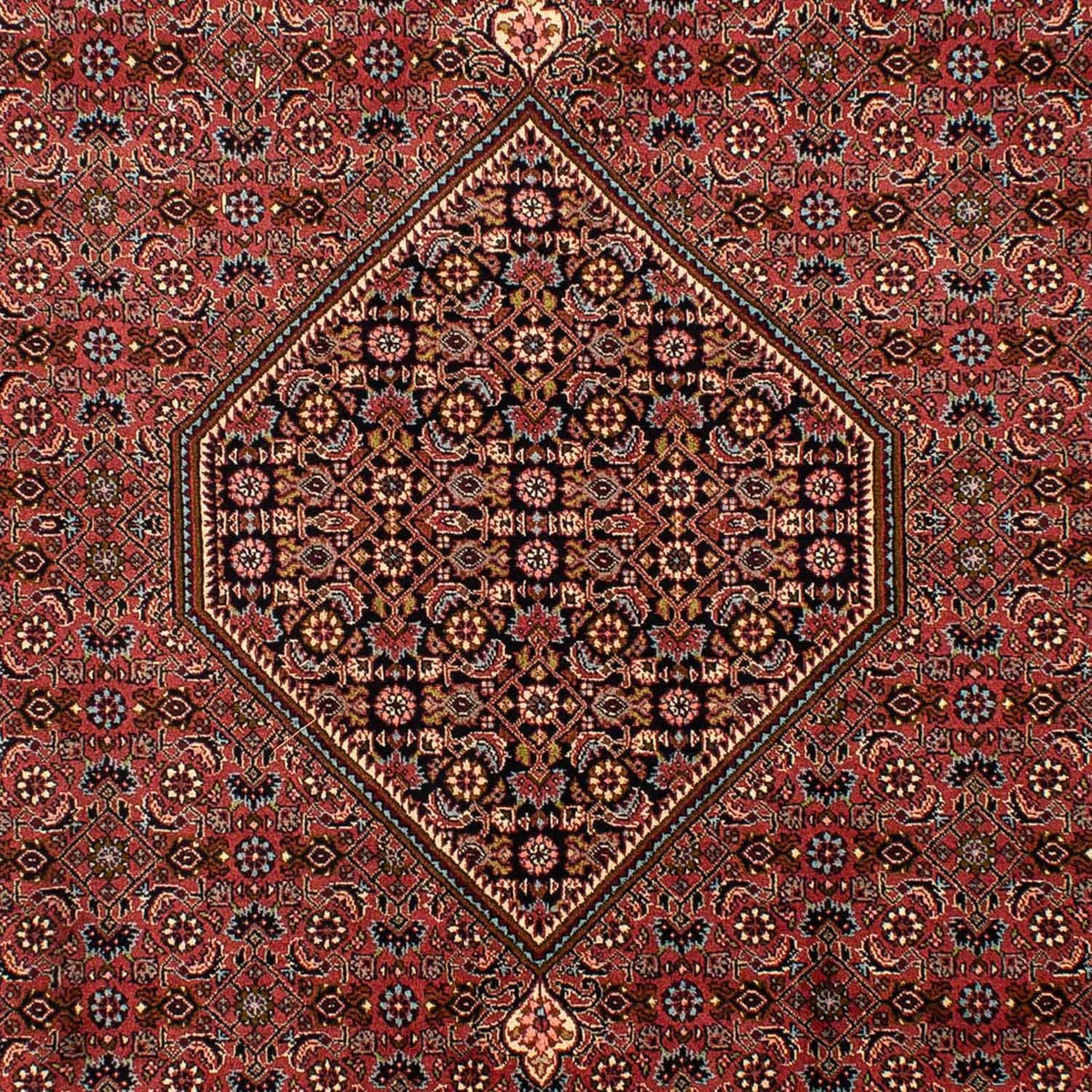 Tappeto Persero - Bidjar - 321 x 197 cm - marrone