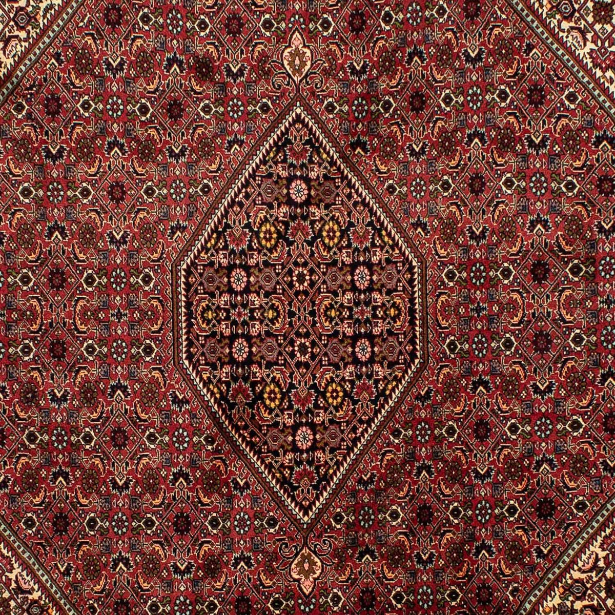 Tappeto Persero - Bidjar - 305 x 200 cm - marrone