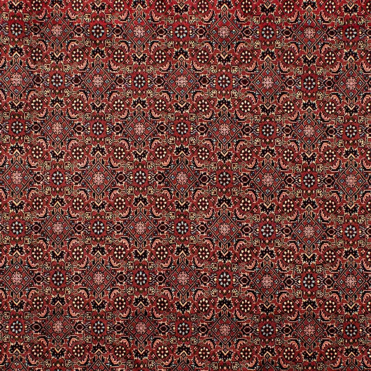 Tappeto Persero - Bidjar - 298 x 198 cm - rosso scuro