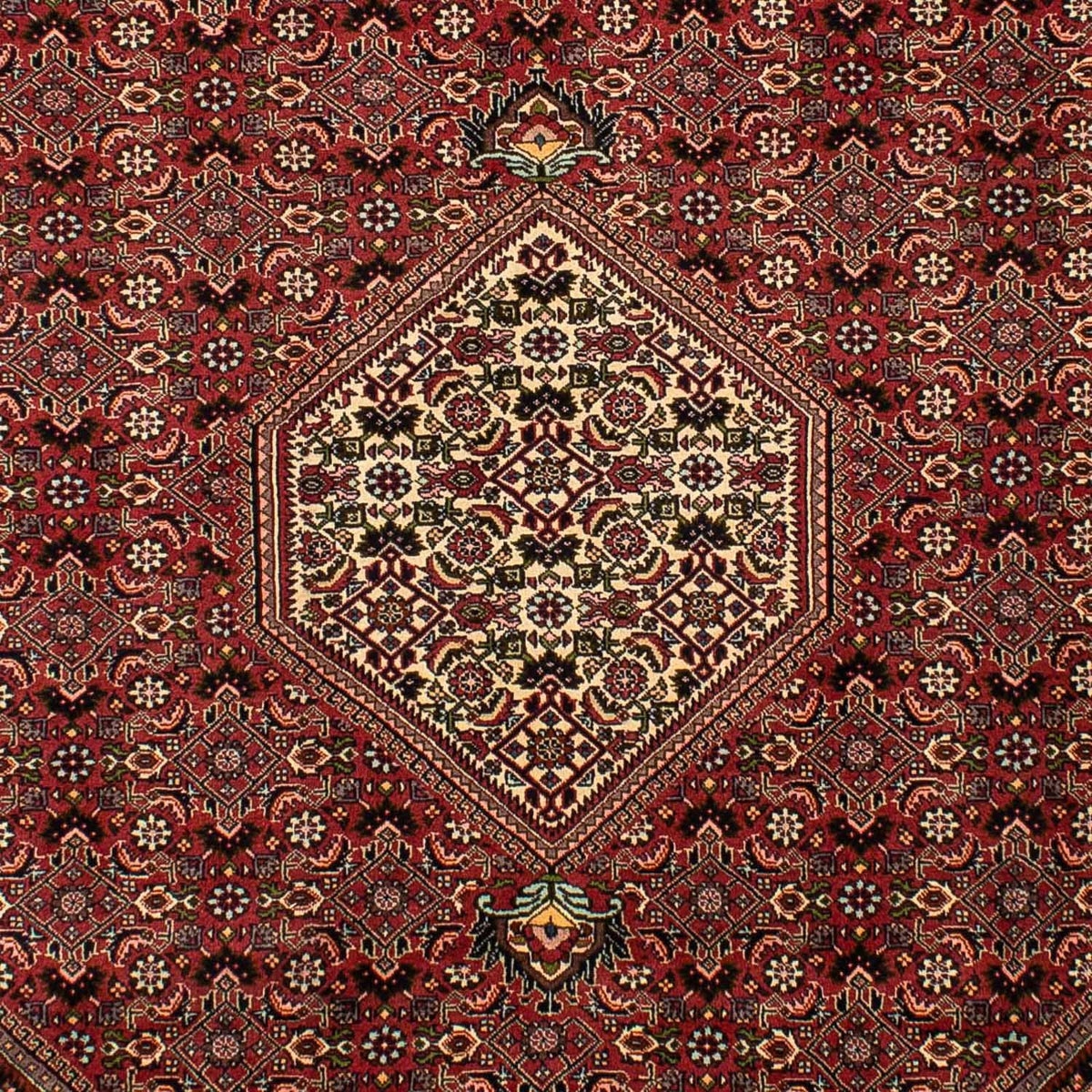 Tappeto Persero - Bidjar - 292 x 196 cm - marrone