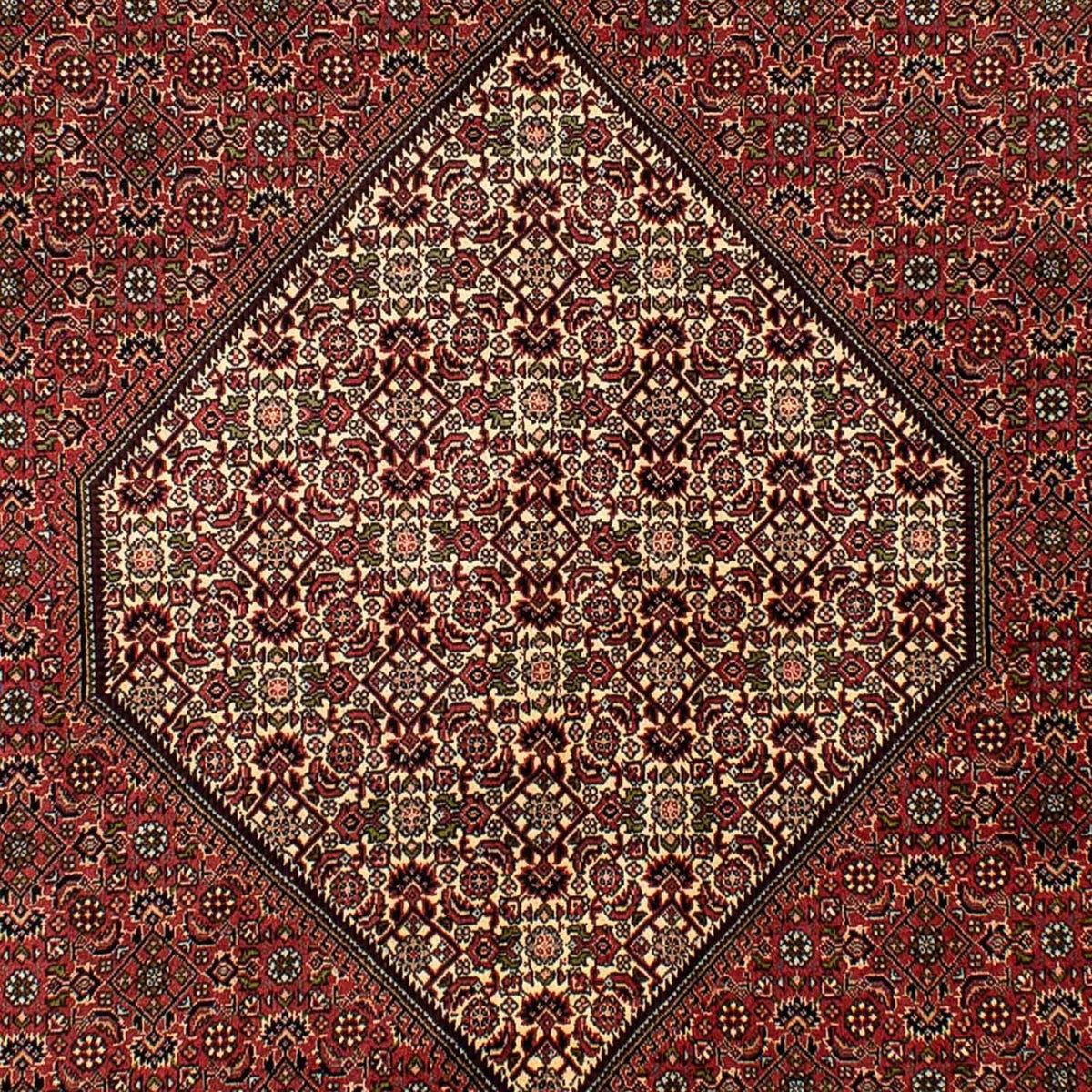 Tappeto Persero - Bidjar - 265 x 171 cm - marrone