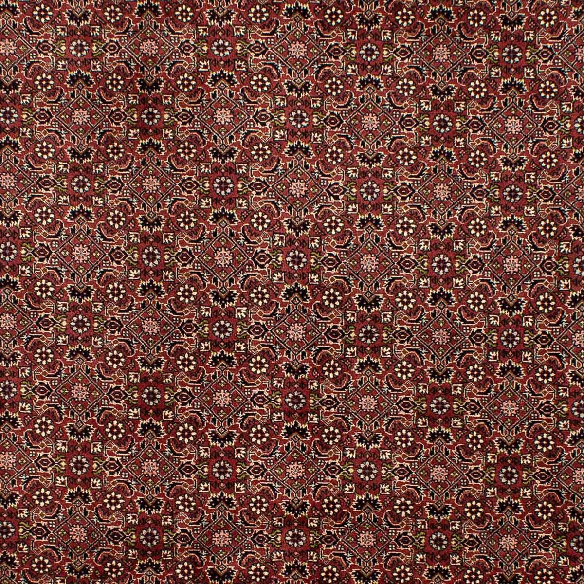Tappeto Persero - Bidjar - 292 x 198 cm - marrone