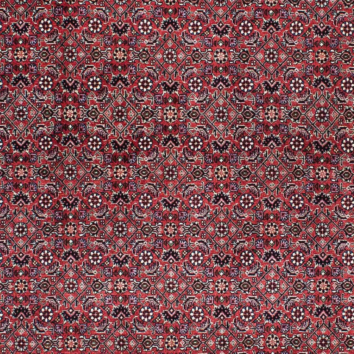 Tappeto Persero - Bidjar - 200 x 133 cm - rosso chiaro