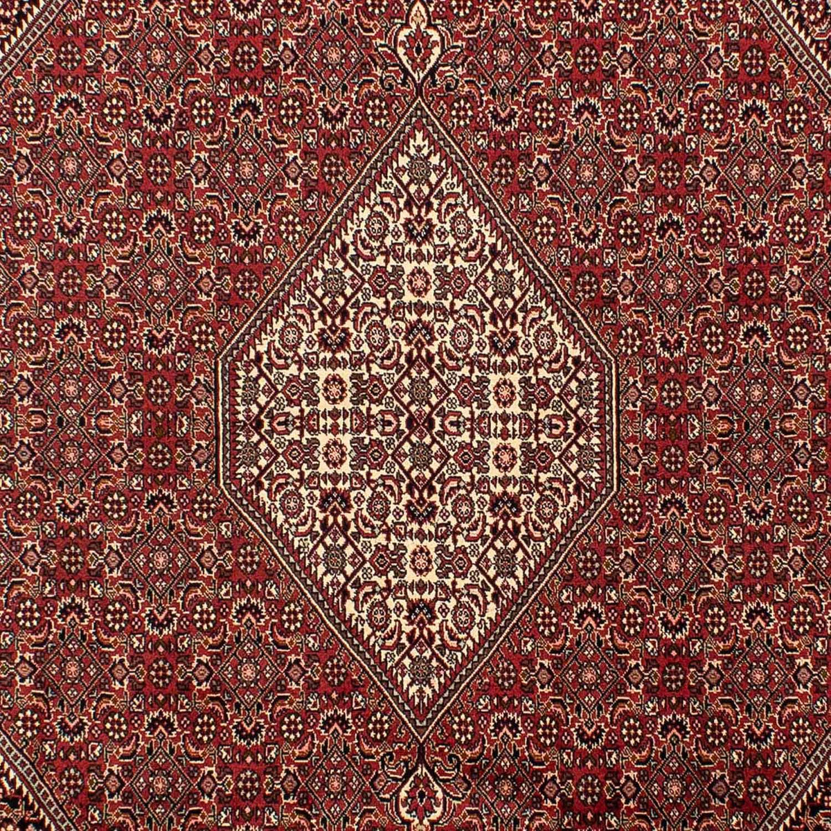 Tappeto Persero - Bidjar - 304 x 200 cm - marrone