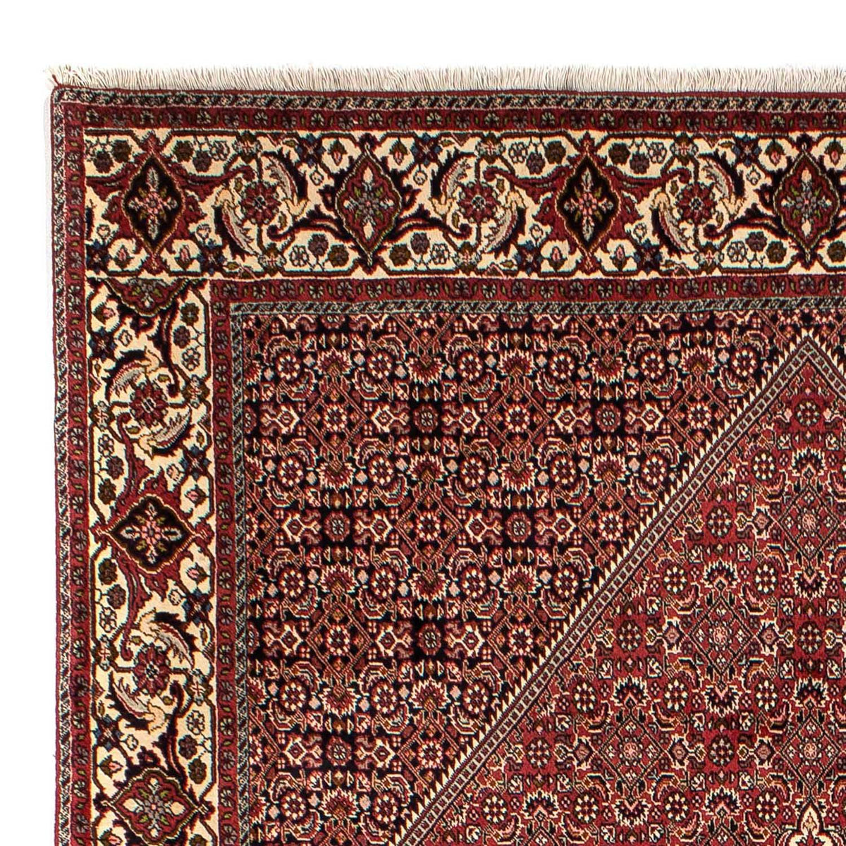 Tappeto Persero - Bidjar - 304 x 200 cm - marrone
