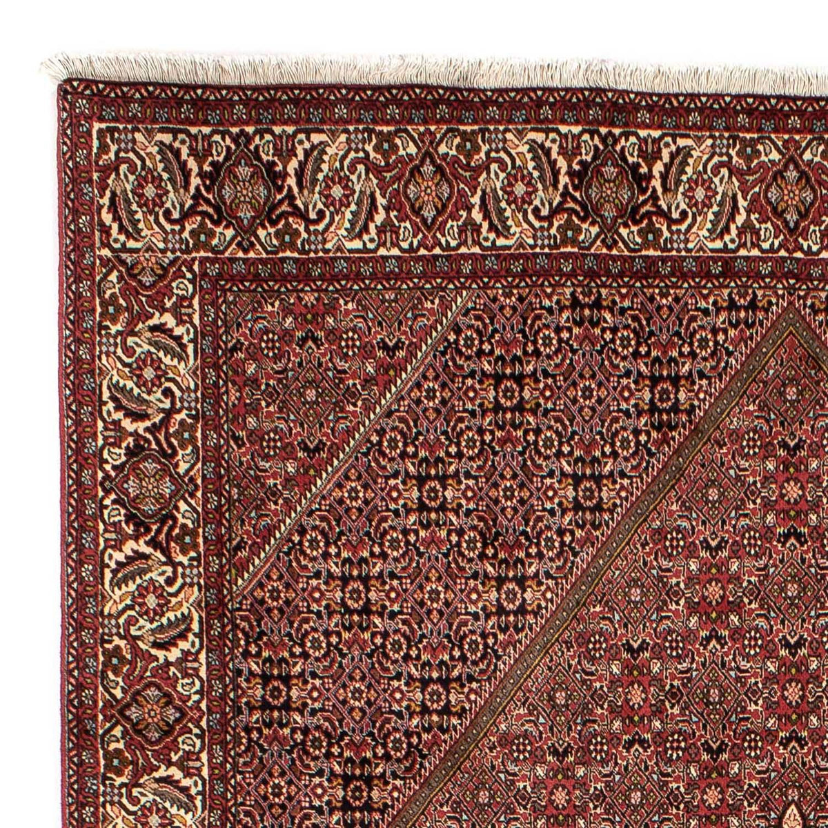 Tappeto Persero - Bidjar - 305 x 202 cm - marrone