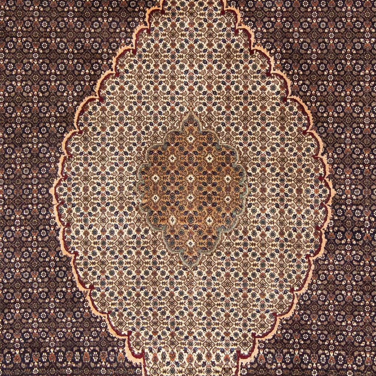 Tappeto Persero - Tabriz - 300 x 195 cm - marrone