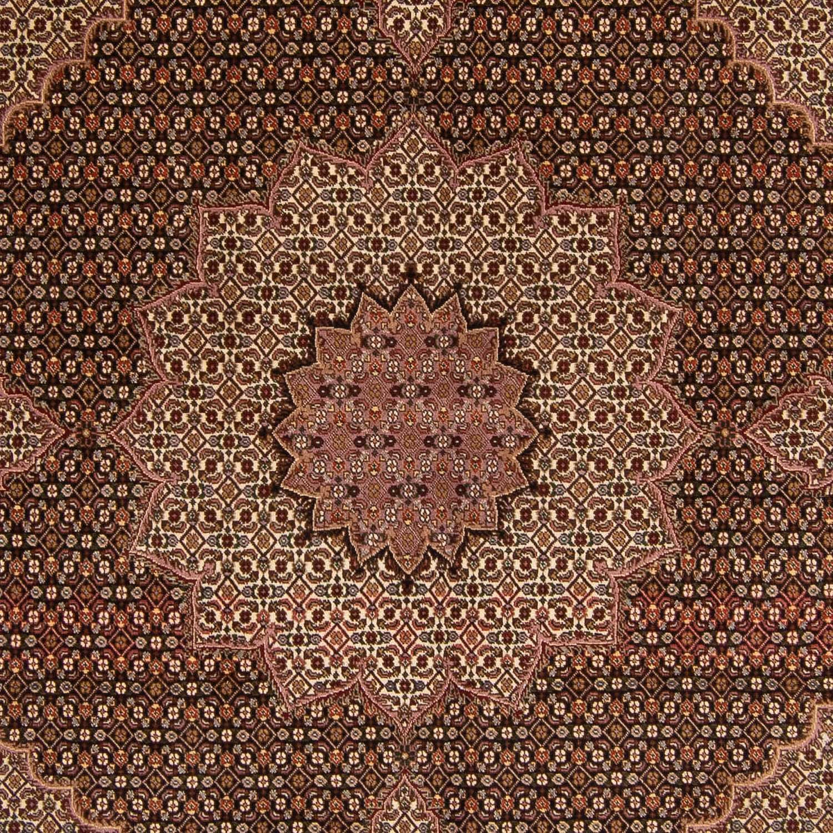 Tappeto Persero - Tabriz - Reale - 256 x 248 cm - marrone