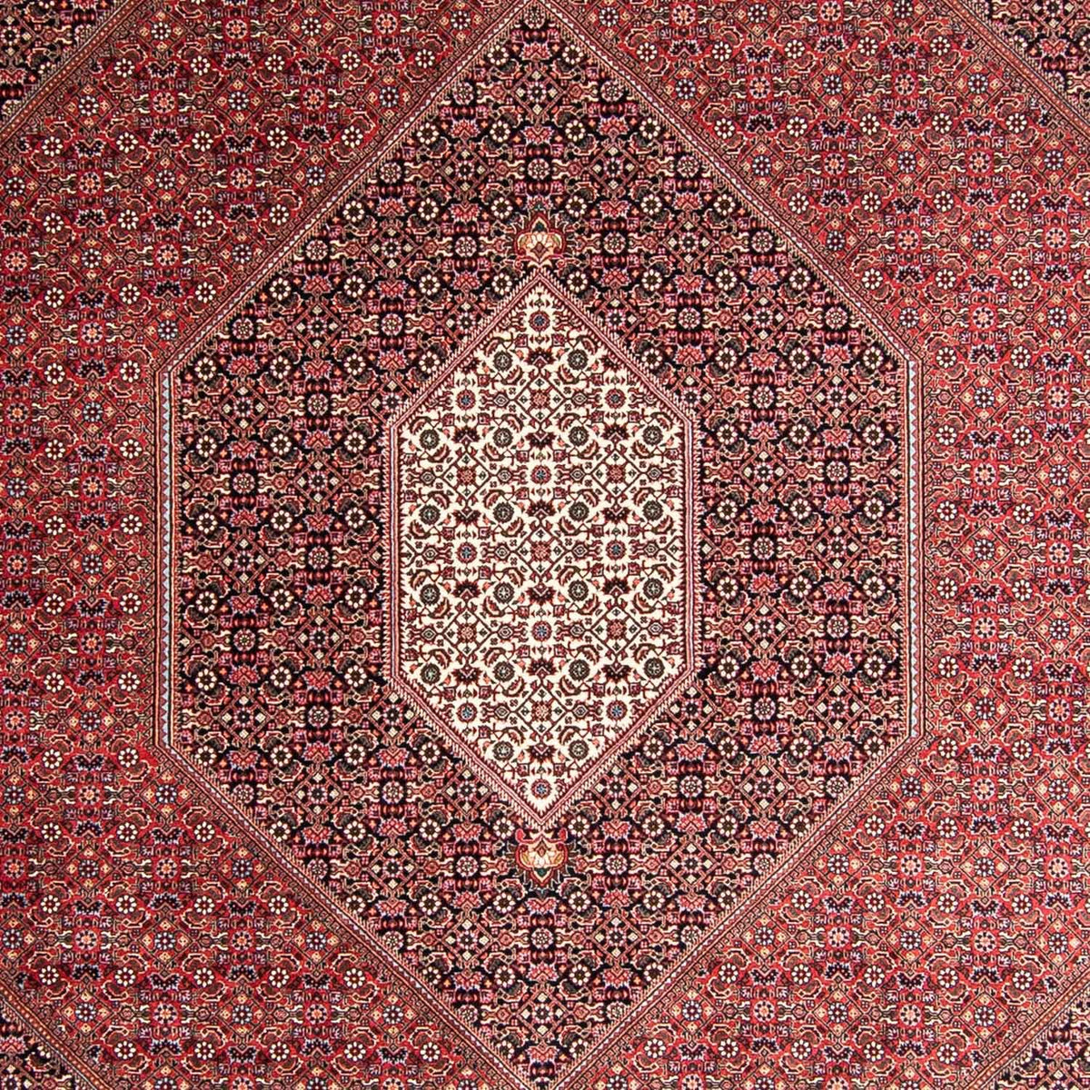 Tappeto Persero - Bidjar - 360 x 250 cm - rosso chiaro