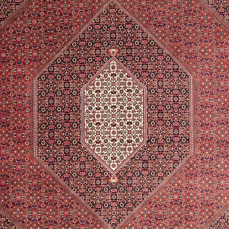 Tappeto Persero - Bidjar - 360 x 250 cm - rosso chiaro