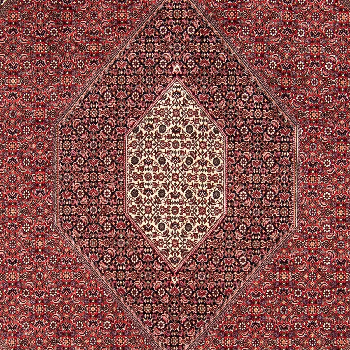 Tappeto Persero - Bidjar - 295 x 251 cm - rosso scuro