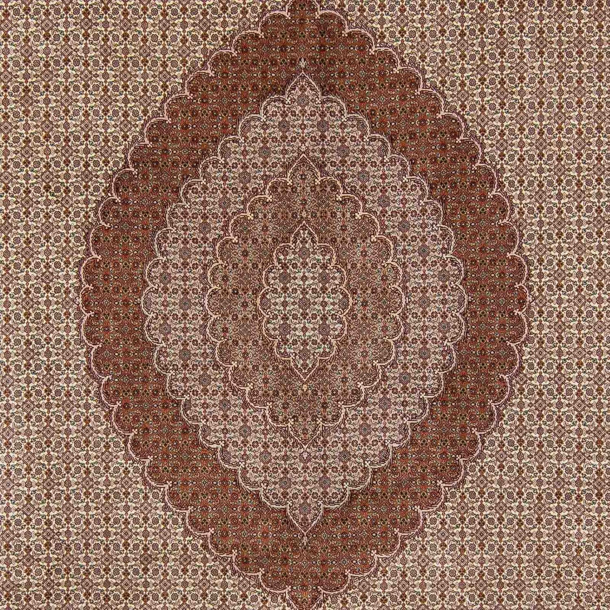 Tappeto Persero - Tabriz - 350 x 254 cm - marrone