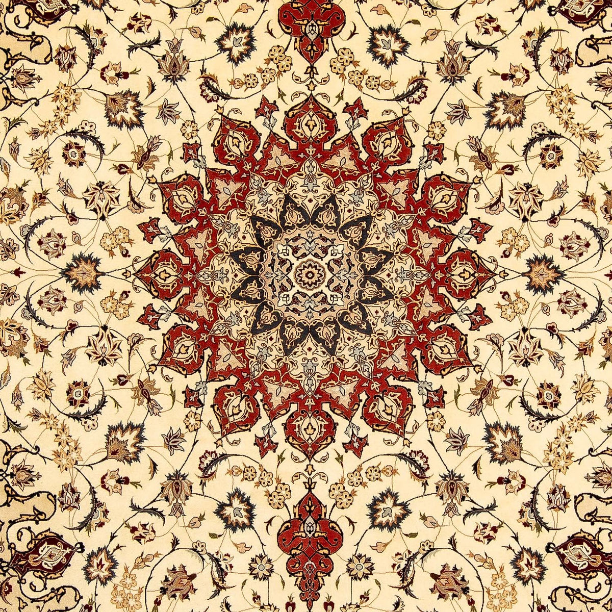 Tappeto Persero - Tabriz - Reale - 351 x 252 cm - beige