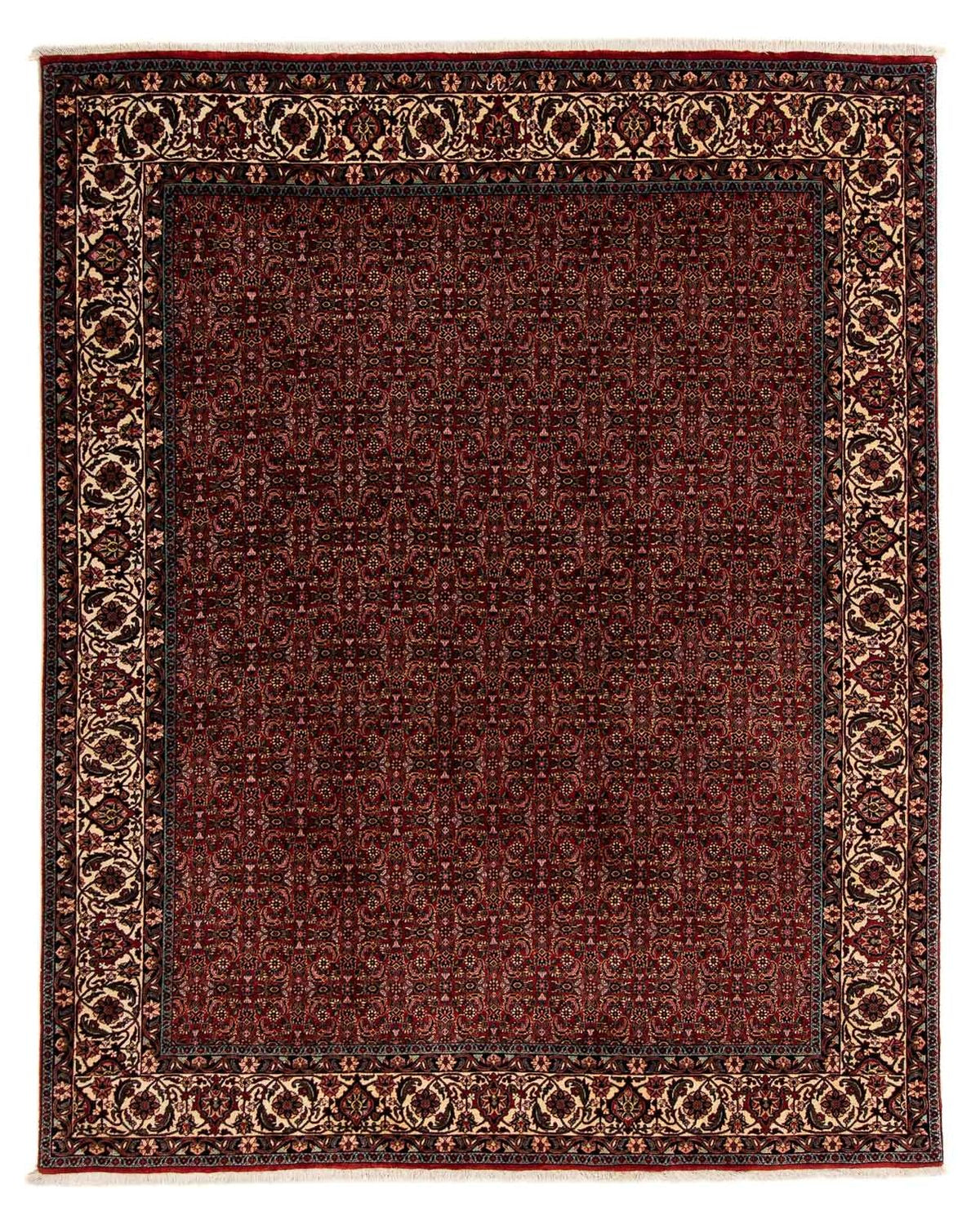 Tappeto Persero - Bidjar - 249 x 202 cm - rosso scuro
