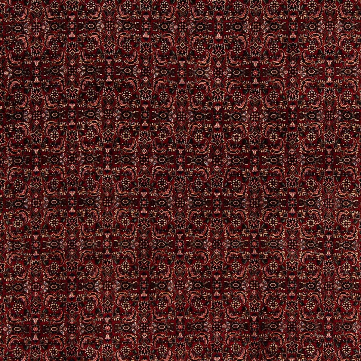 Tappeto Persero - Bidjar - 249 x 202 cm - rosso scuro