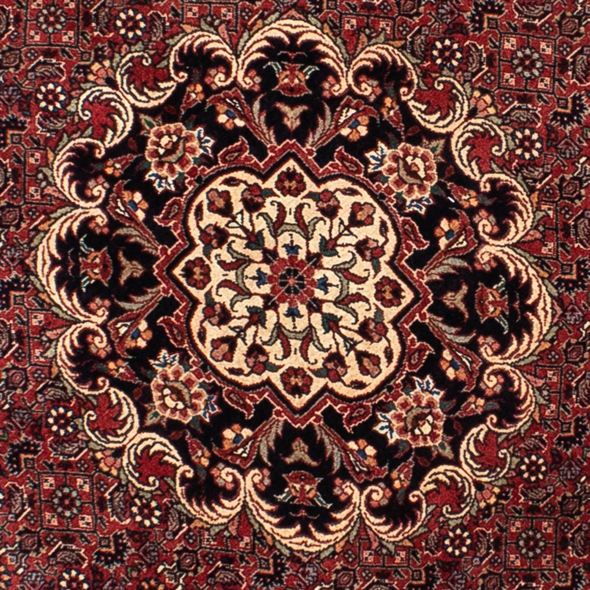 Tappeto Persero - Bidjar rotondo  - 150 x 150 cm - rosso scuro