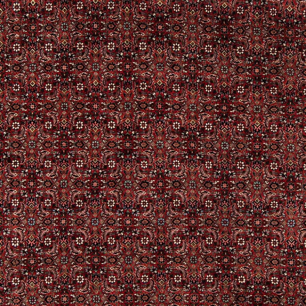 Tappeto Persero - Bidjar - 242 x 202 cm - rosso scuro