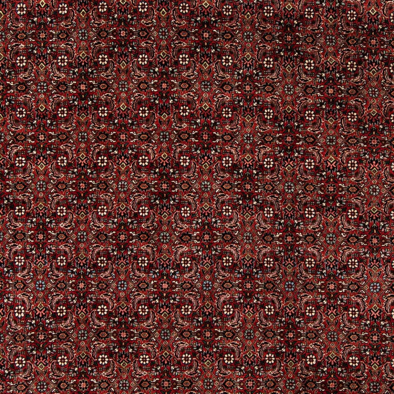 Tappeto Persero - Bidjar - 242 x 202 cm - rosso scuro