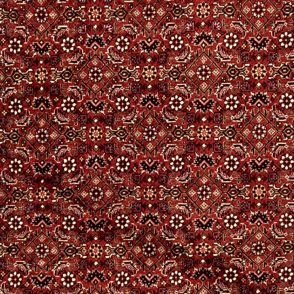 Tappeto corsia Tappeto Persero - Bidjar - 288 x 85 cm - multicolore