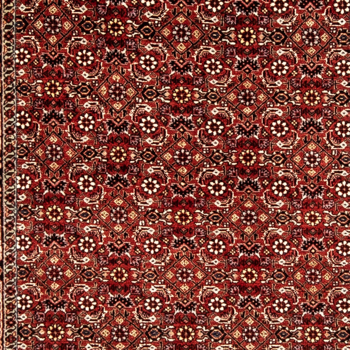 Tappeto corsia Tappeto Persero - Bidjar - 298 x 80 cm - rosso scuro