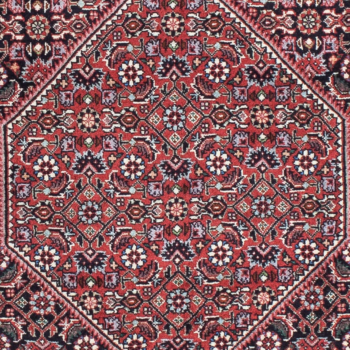 Tappeto corsia Tappeto Persero - Bidjar - 197 x 72 cm - rosso