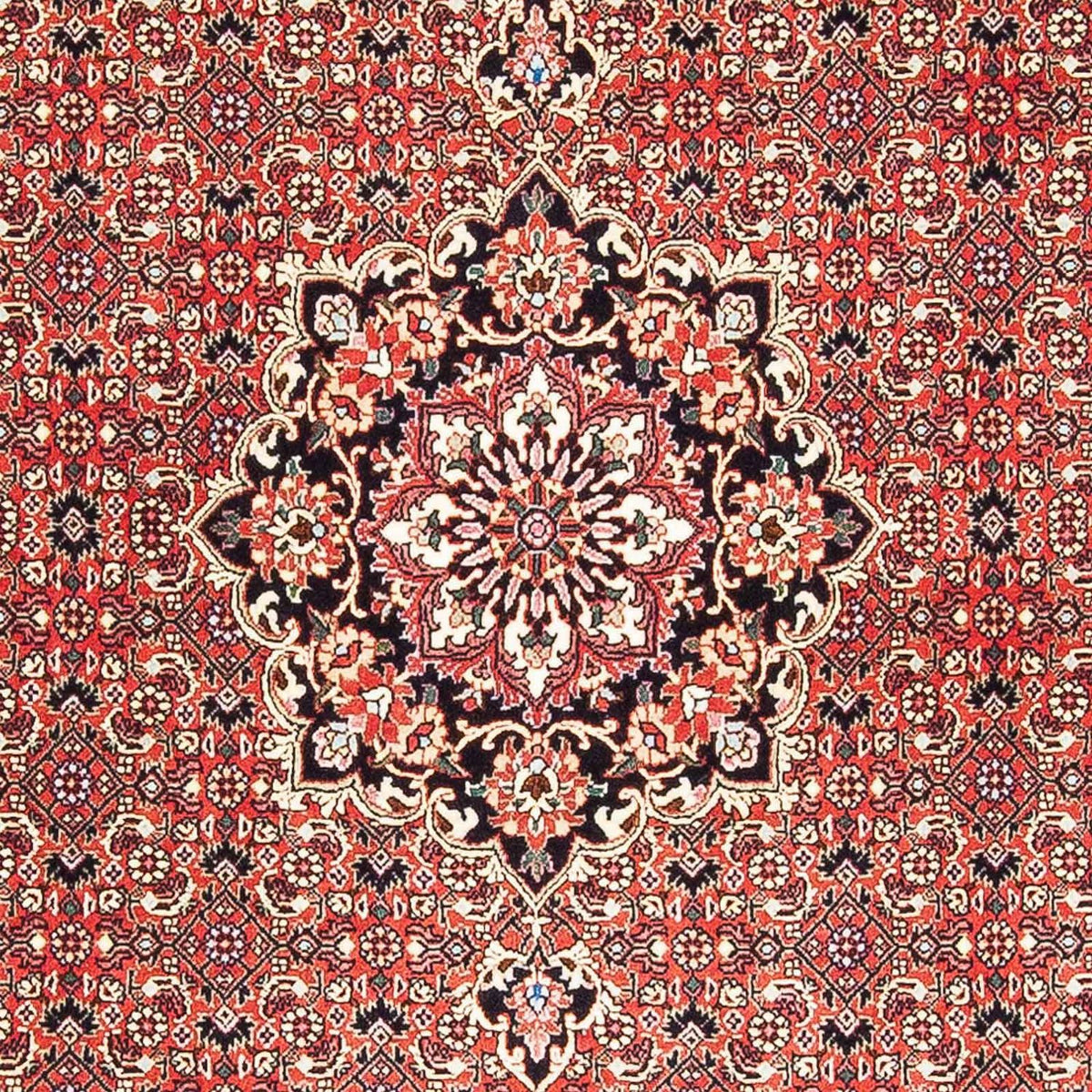 Tappeto Persero - Bidjar - 182 x 110 cm - rosso
