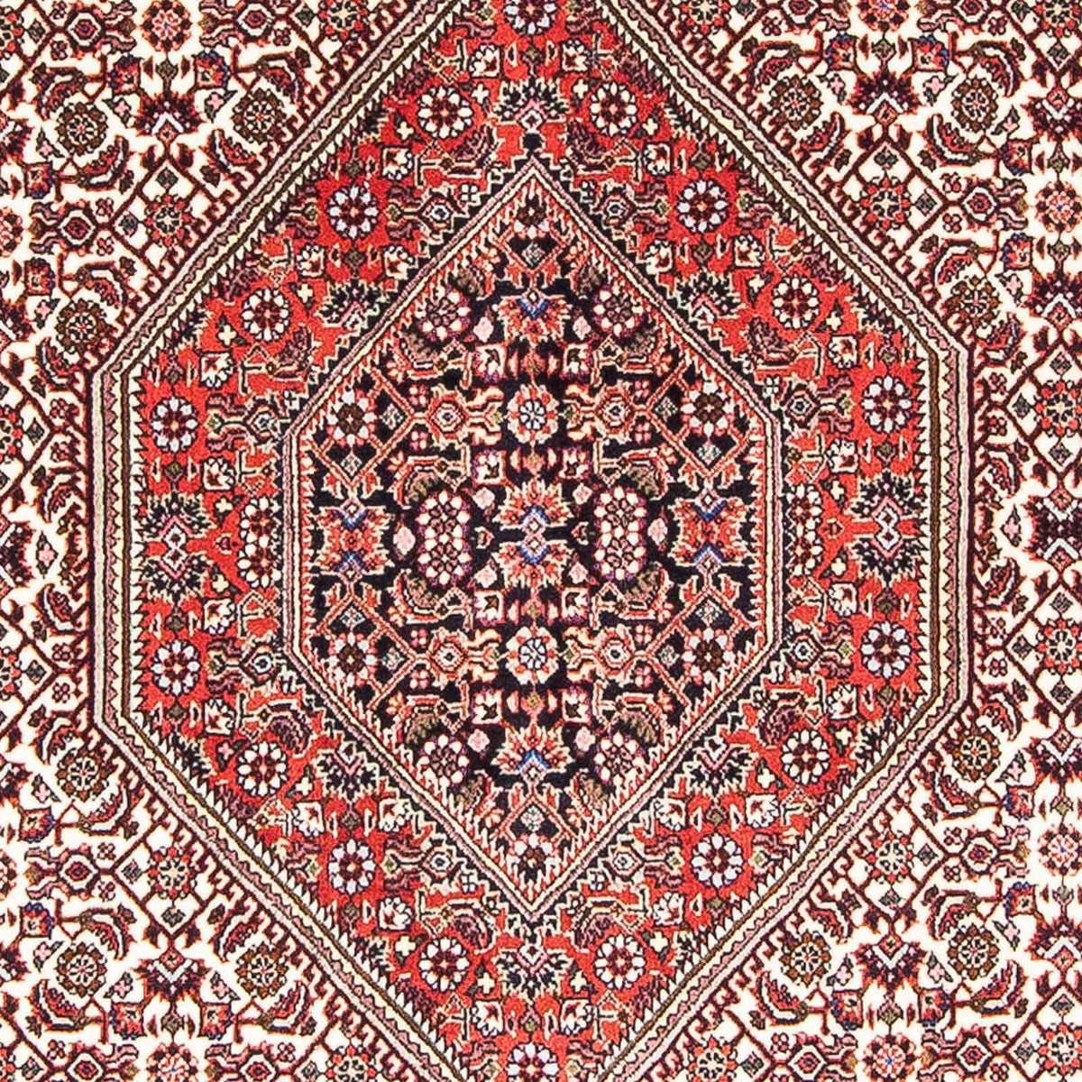 Tappeto Persero - Bidjar - 173 x 107 cm - rosso chiaro