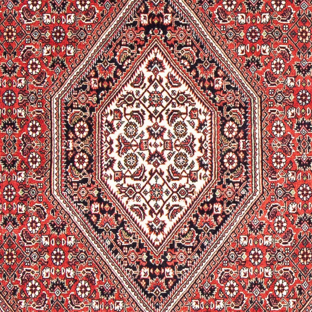 Tappeto Persero - Bidjar - 176 x 110 cm - rosso