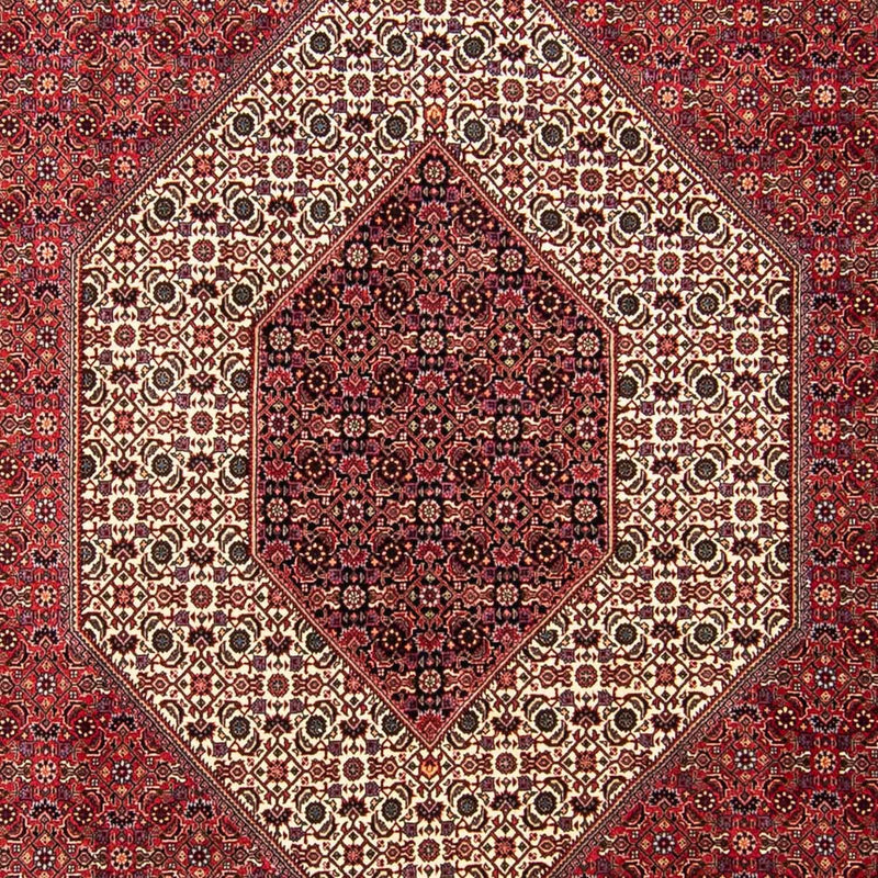 Tappeto Persero - Bidjar - 304 x 255 cm - rosso scuro