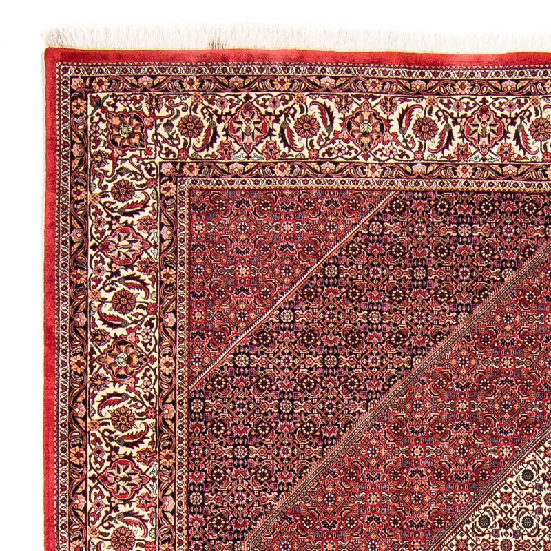 Tappeto Persero - Bidjar - 304 x 255 cm - rosso scuro