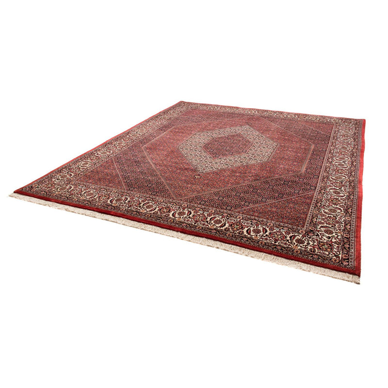 Tappeto Persero - Bidjar - 304 x 255 cm - rosso scuro