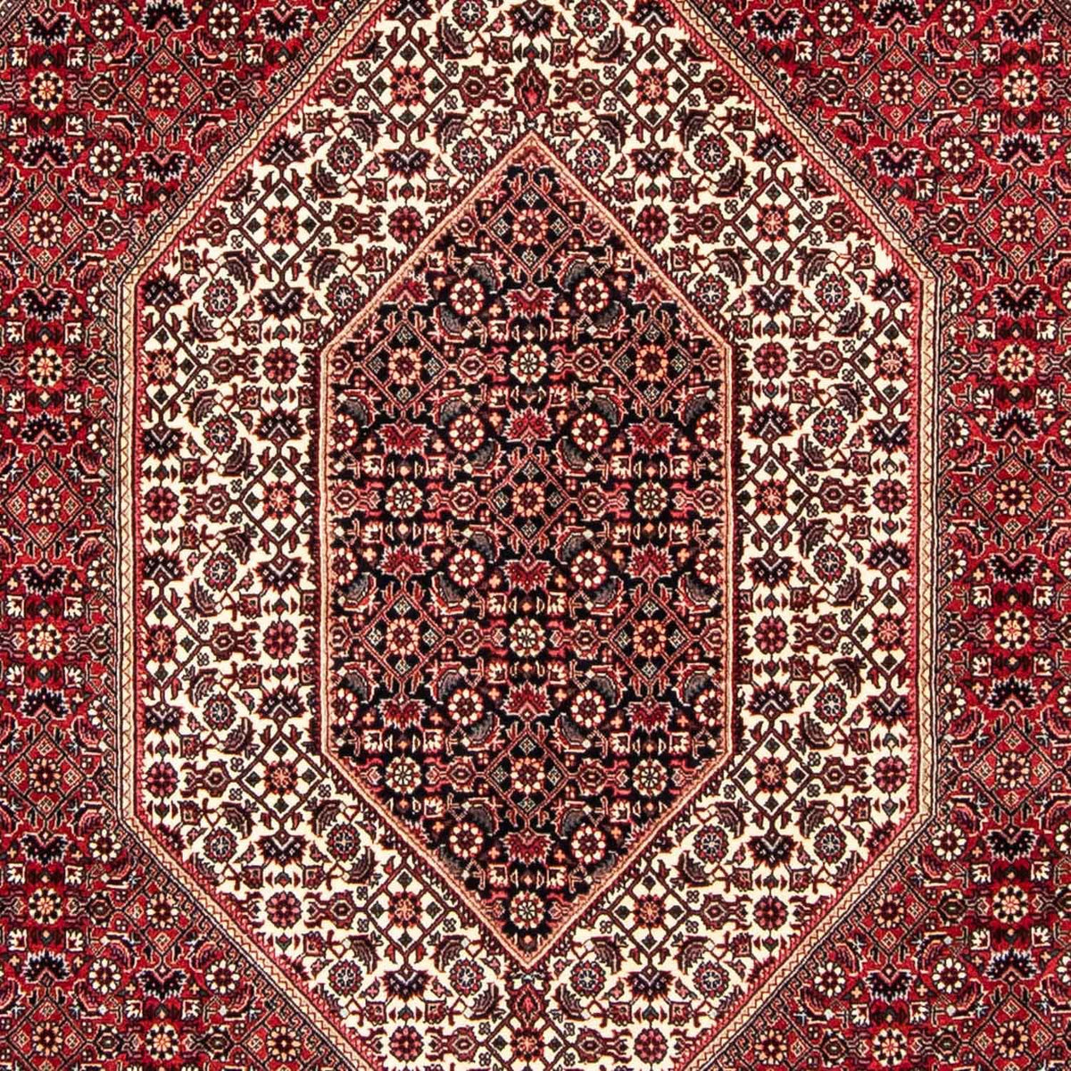 Tappeto Persero - Bidjar - 250 x 171 cm - rosso scuro