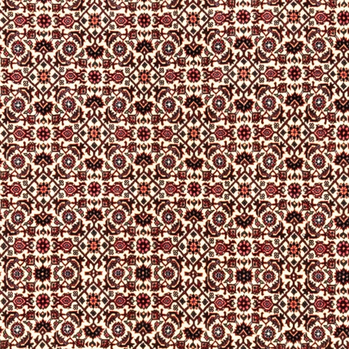 Tappeto Persero - Bidjar - 343 x 253 cm - beige