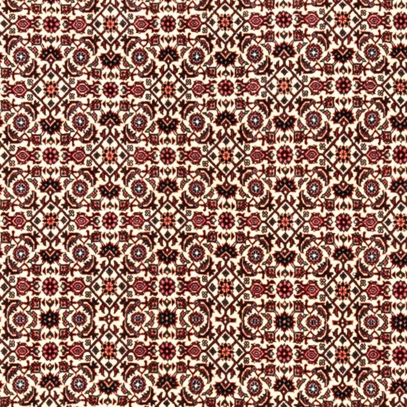 Tappeto Persero - Bidjar - 343 x 253 cm - beige