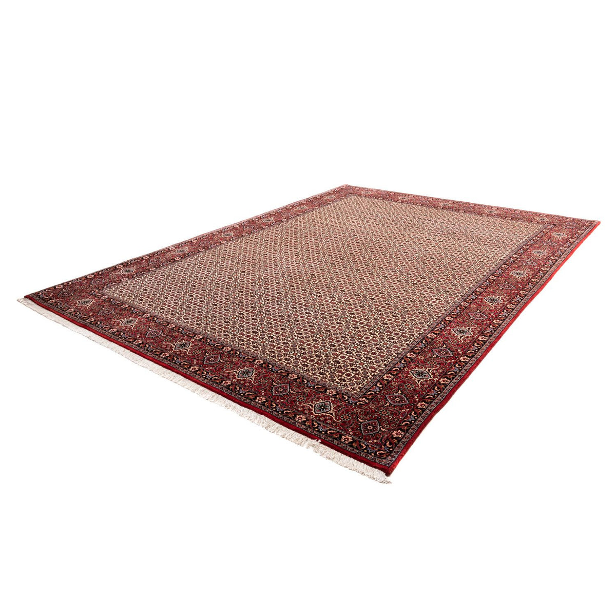 Tappeto Persero - Bidjar - 343 x 253 cm - beige