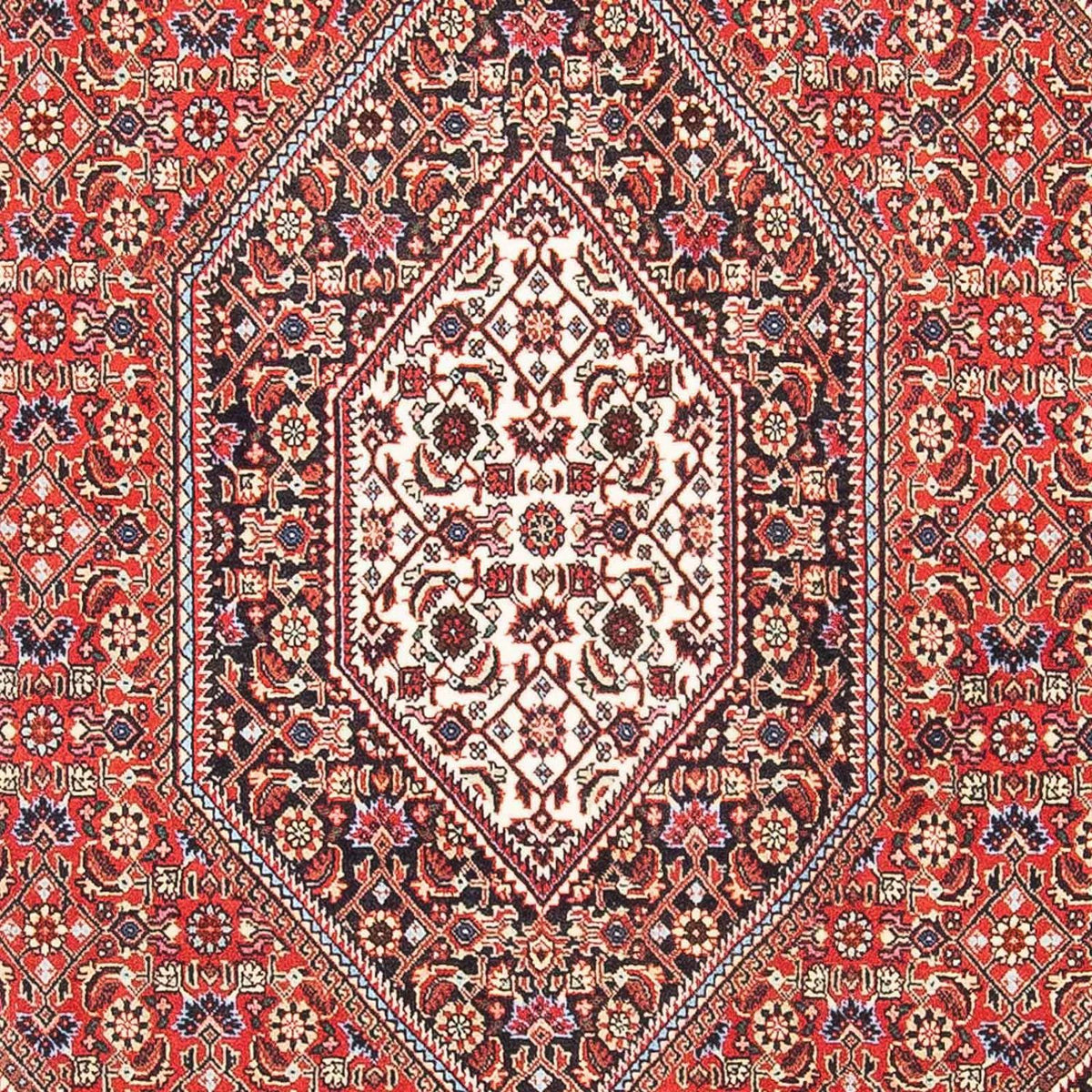 Tappeto Persero - Bidjar - 173 x 110 cm - rosso chiaro