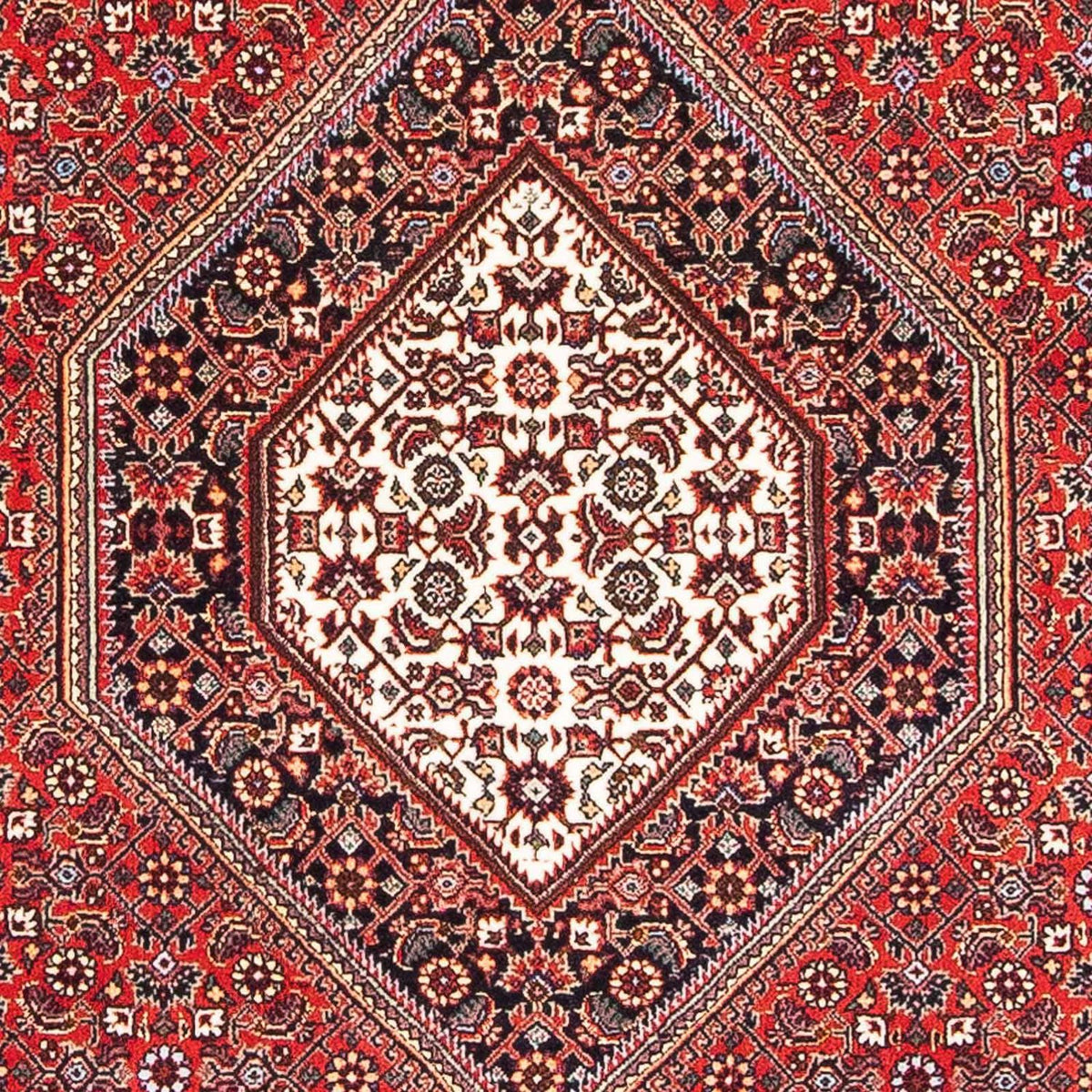 Tappeto Persero - Bidjar - 173 x 112 cm - rosso