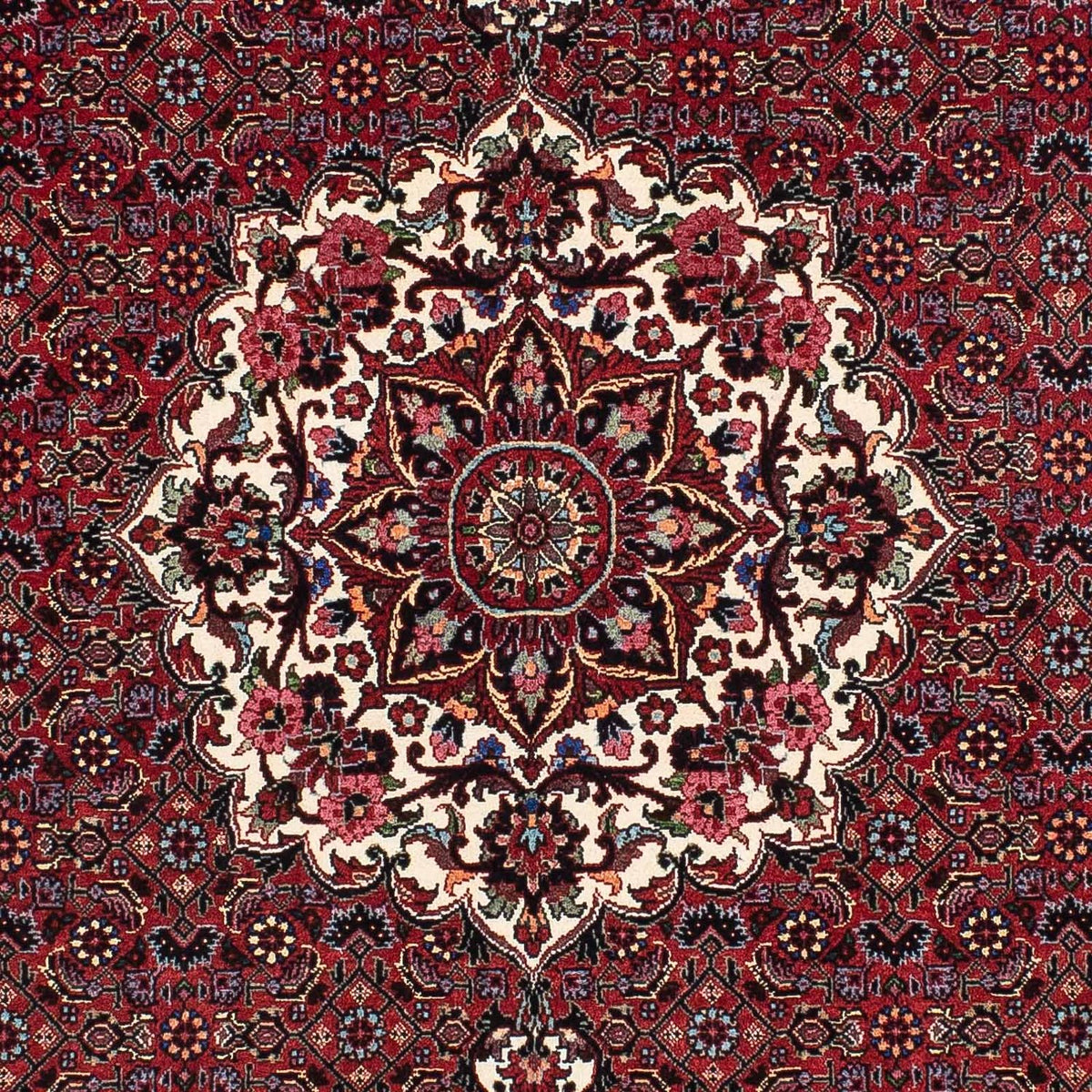 Tappeto Persero - Bidjar - 180 x 112 cm - rosso