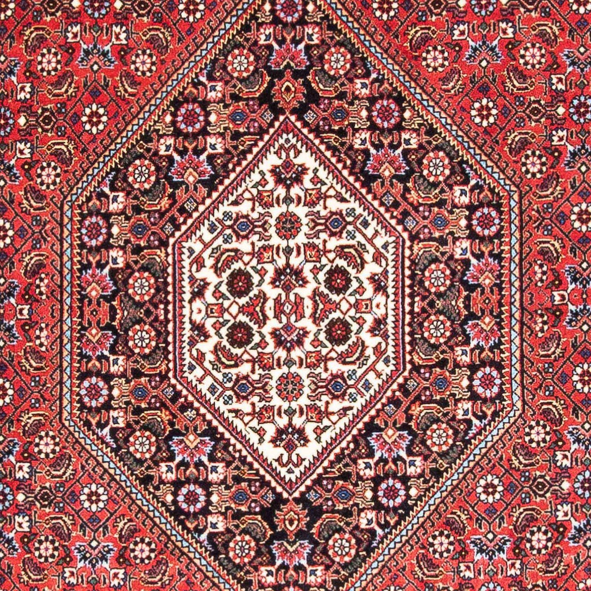 Tappeto Persero - Bidjar - 180 x 111 cm - rosso