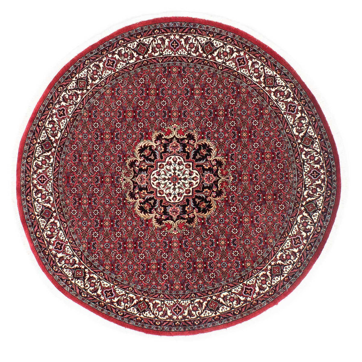 Tappeto Persero - Bidjar rotondo  - 155 x 155 cm - rosso scuro