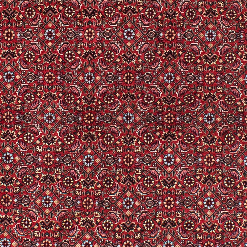 Tappeto Persero - Bidjar rotondo  - 150 x 150 cm - rosso scuro