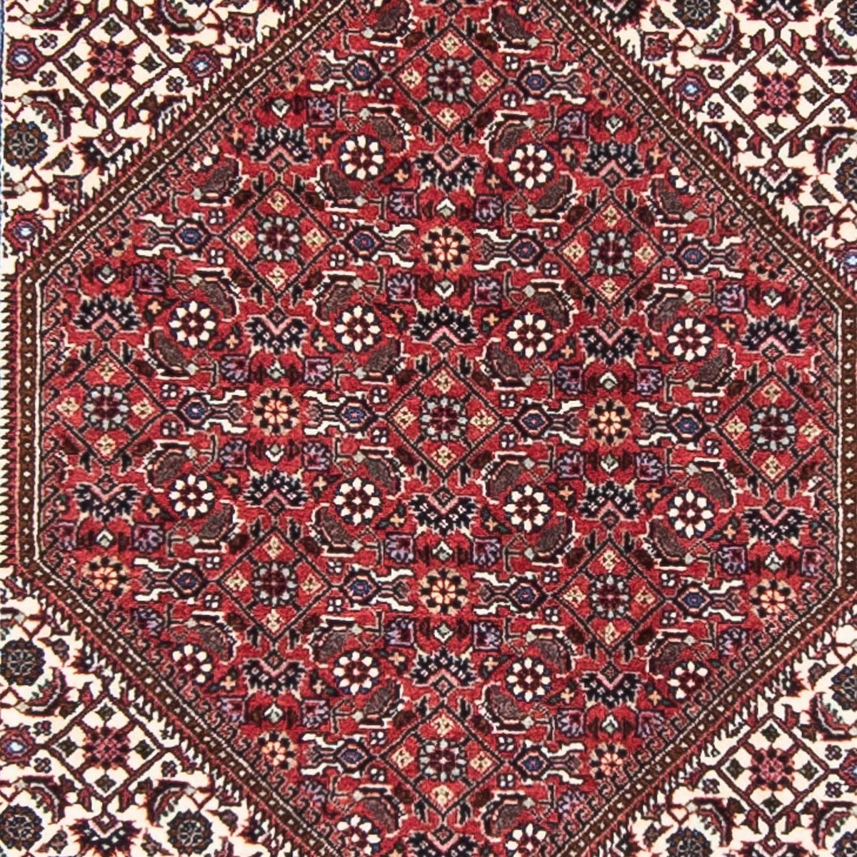 Tappeto corsia Tappeto Persero - Bidjar - 403 x 86 cm - rosso scuro