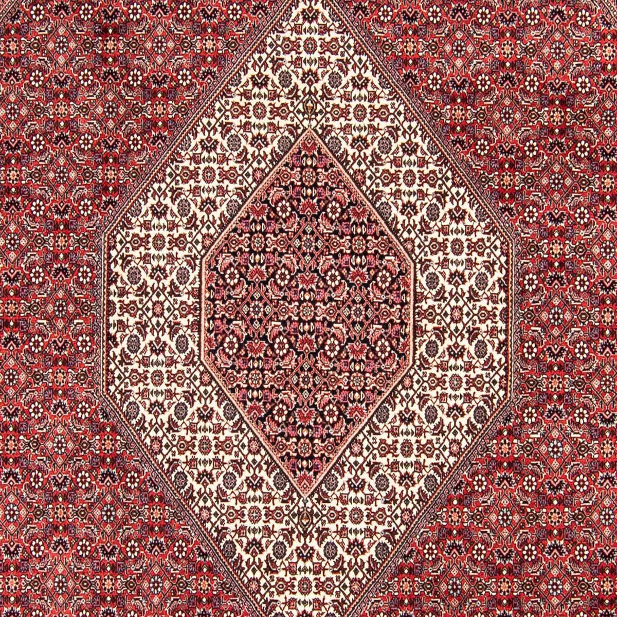 Tappeto Persero - Bidjar - 305 x 253 cm - rosso scuro