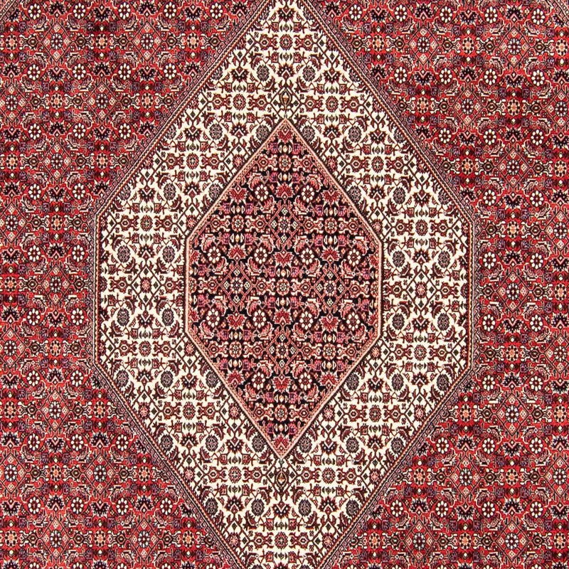 Tappeto Persero - Bidjar - 305 x 253 cm - rosso scuro