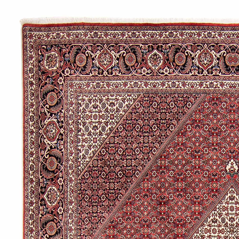 Tappeto Persero - Bidjar - 305 x 253 cm - rosso scuro