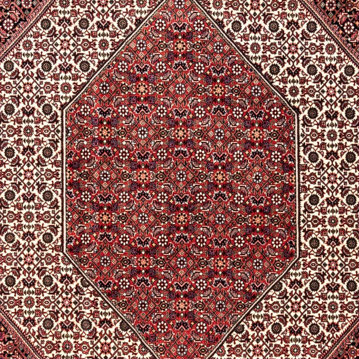 Tappeto Persero - Bidjar - 353 x 250 cm - rosso